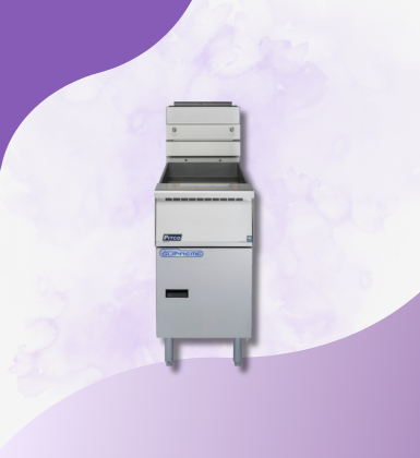Twin Tank Fryer